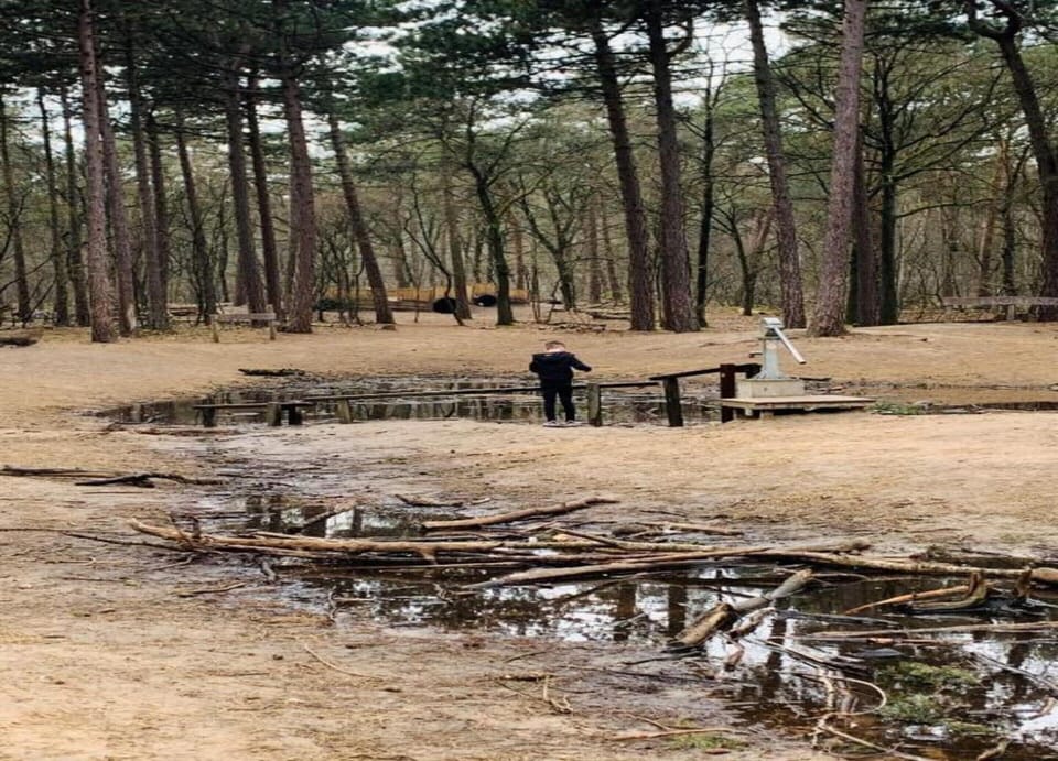 Bungalow | View from property