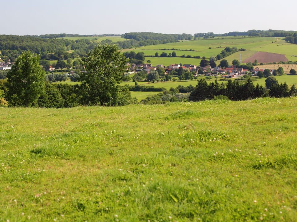 Bungalow | View from property