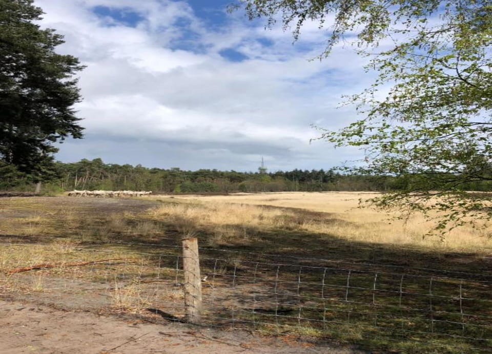 Bungalow | View from property