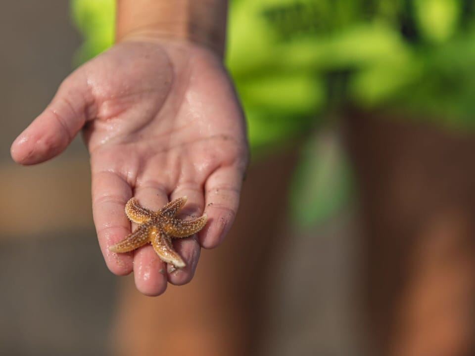 Villa | View from property