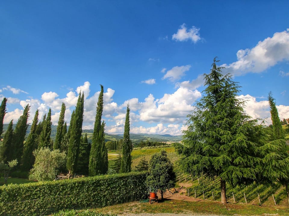 House | View from property