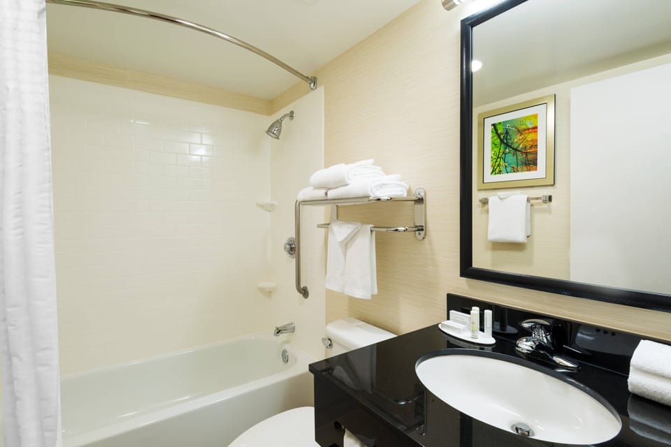 Combined shower/tub, free toiletries, hair dryer, towels