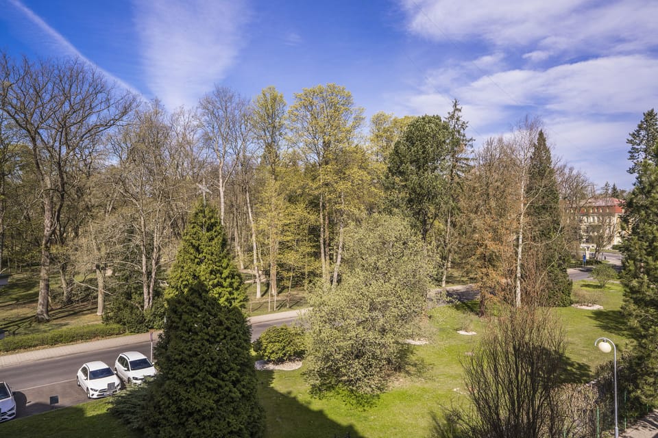 Garden view