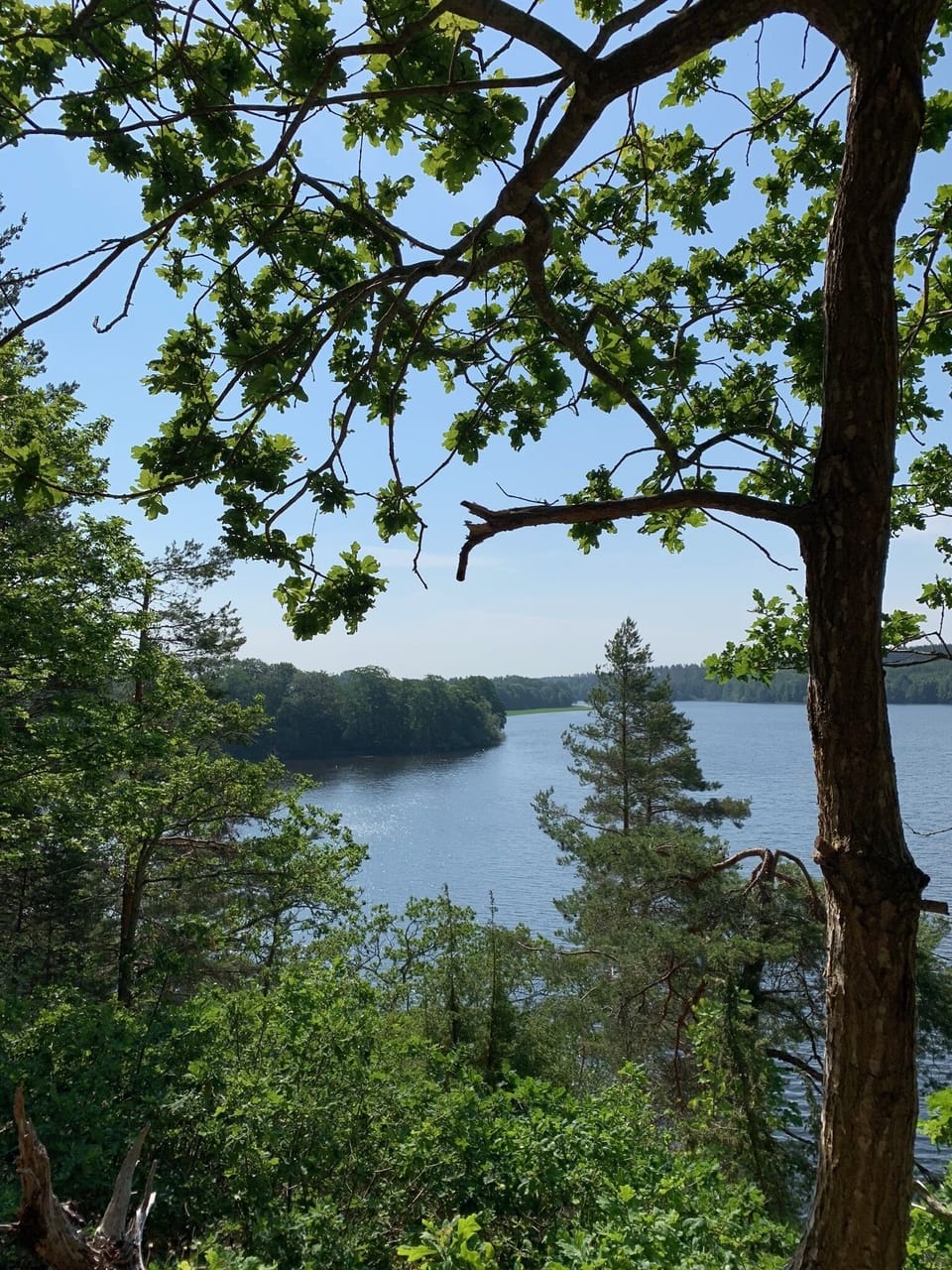 Hiking