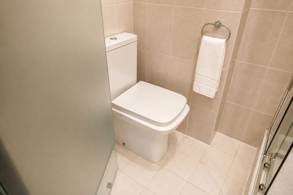 Rainfall showerhead, hair dryer, bidet, towels