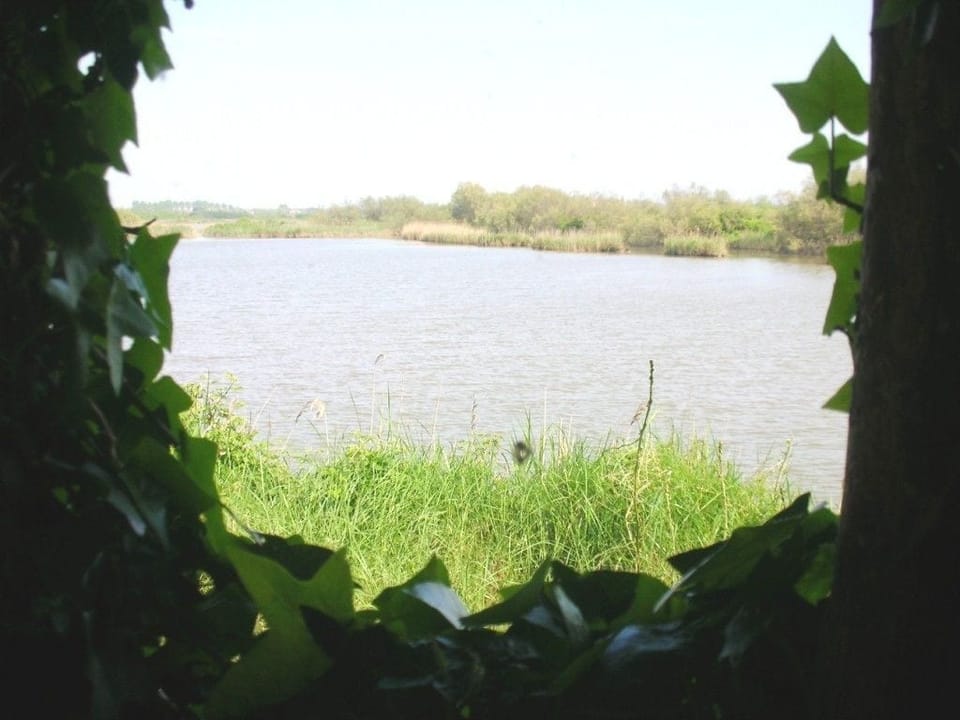 Lake view