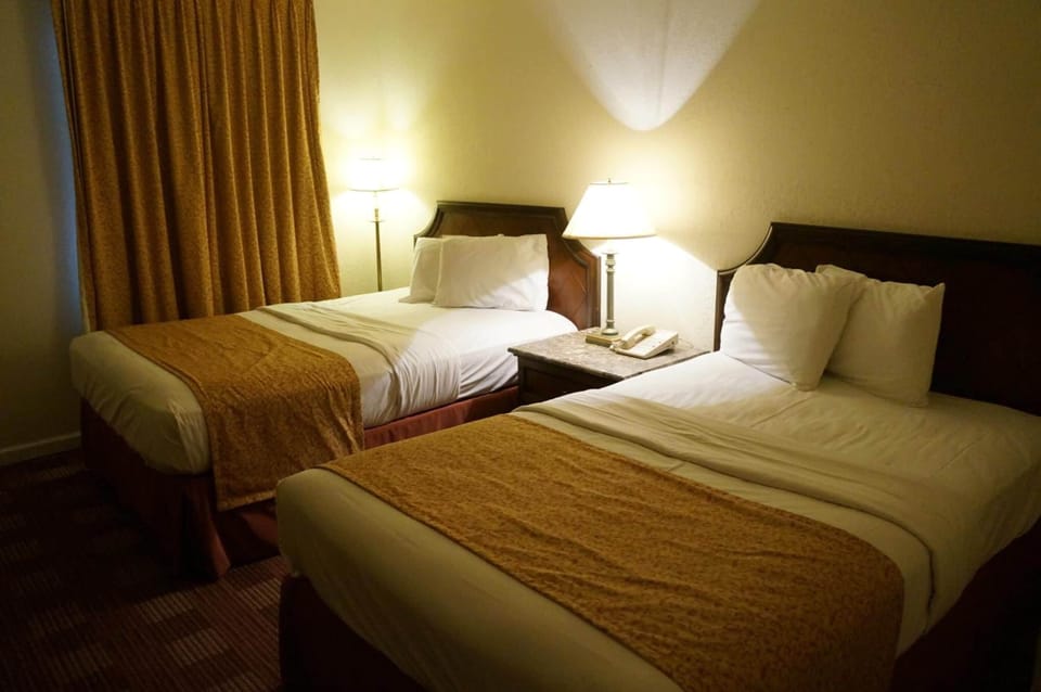 Iron/ironing board (on request), WiFi (free), bed sheets