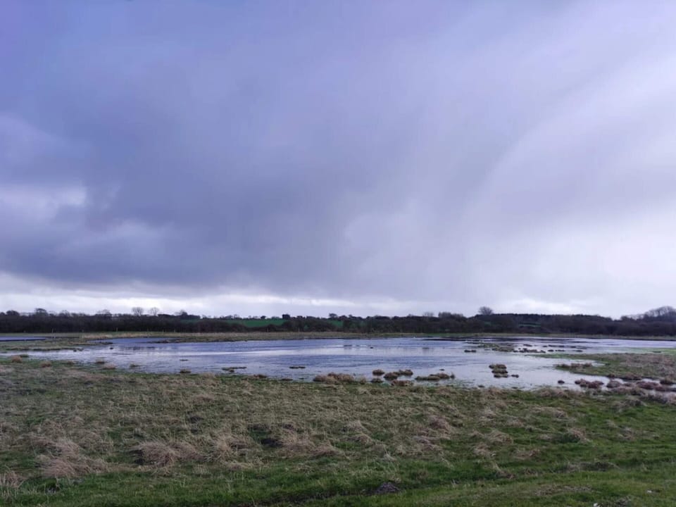 House | Water view