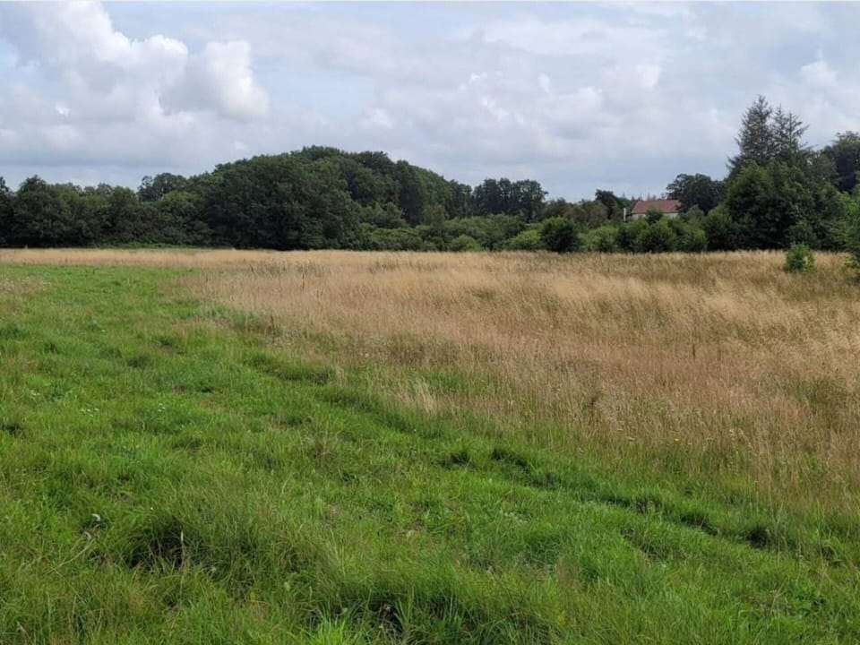 House | Miscellaneous