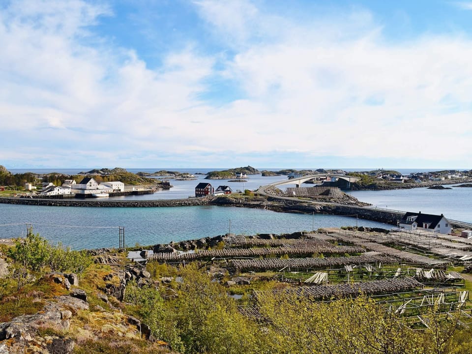 House | Miscellaneous