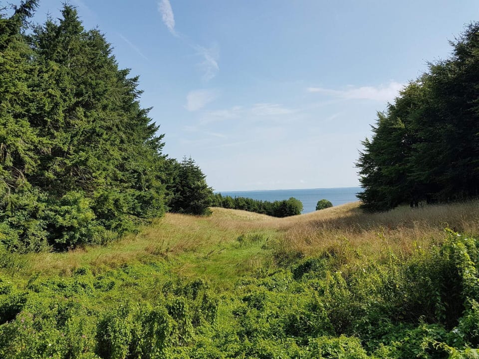 House | Miscellaneous