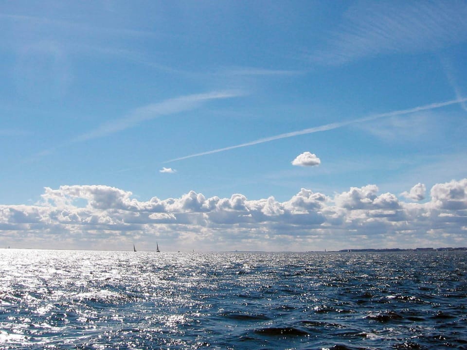 House | Miscellaneous