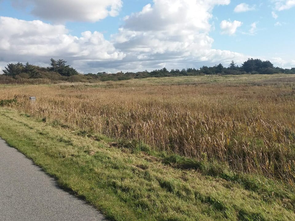 House | Miscellaneous