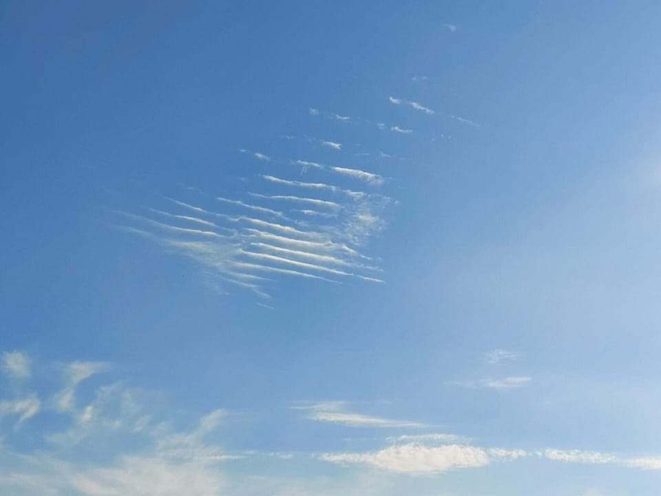 House | Miscellaneous