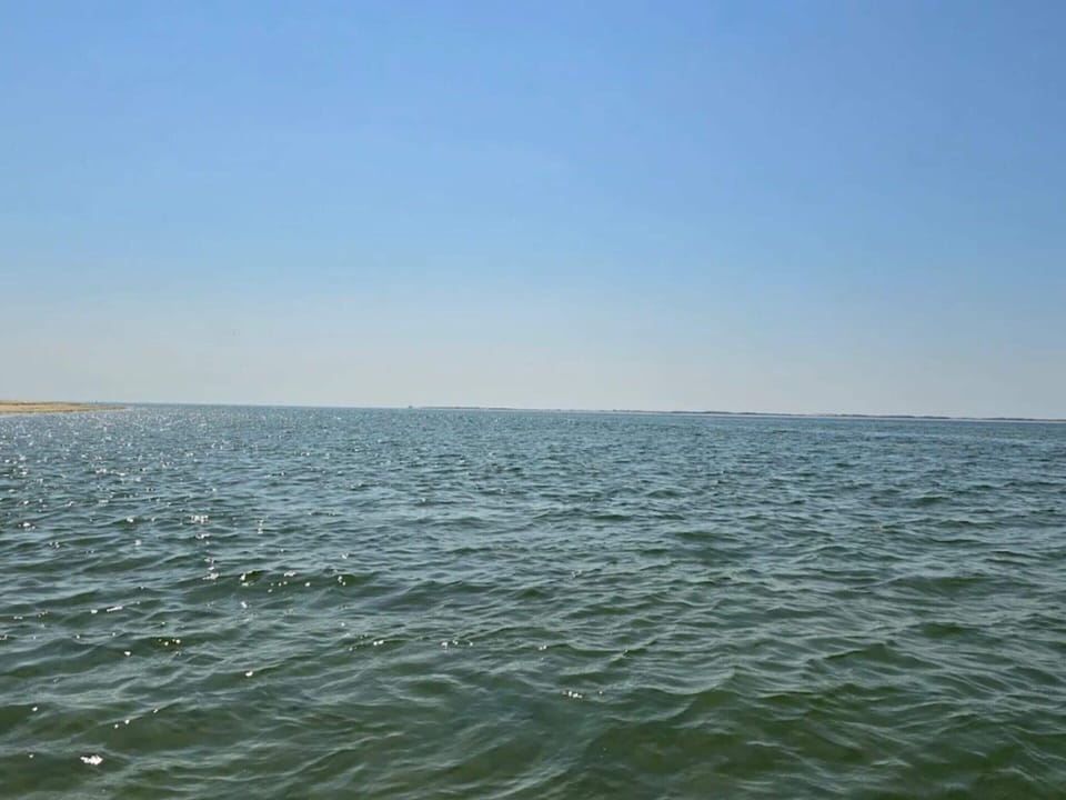 House | Water view