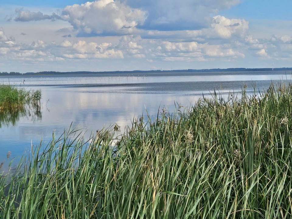 House | Water view