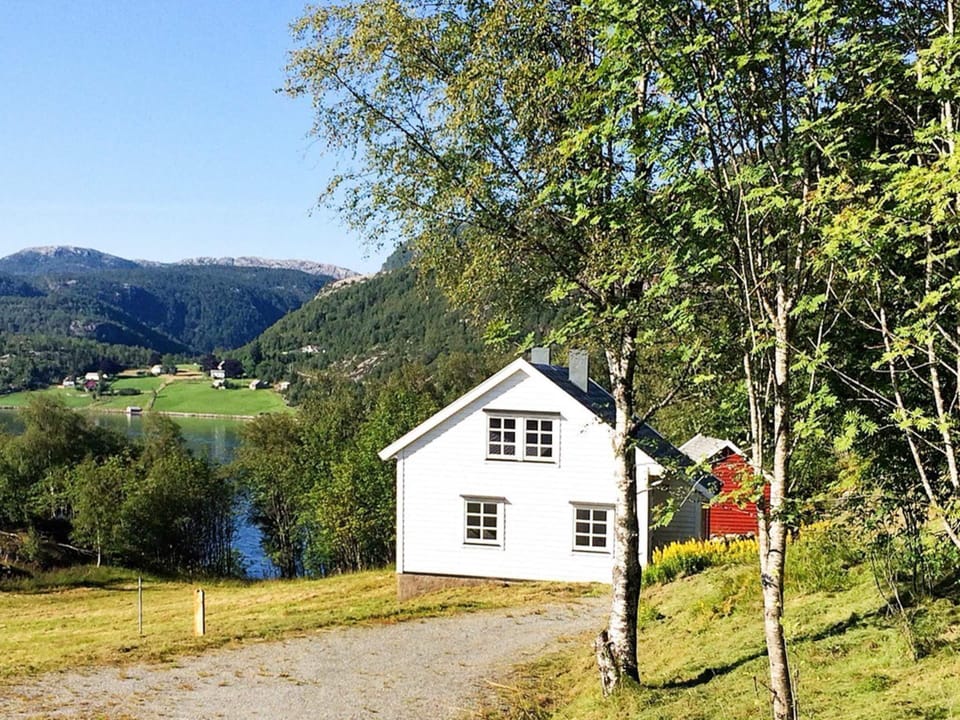 House | Property grounds