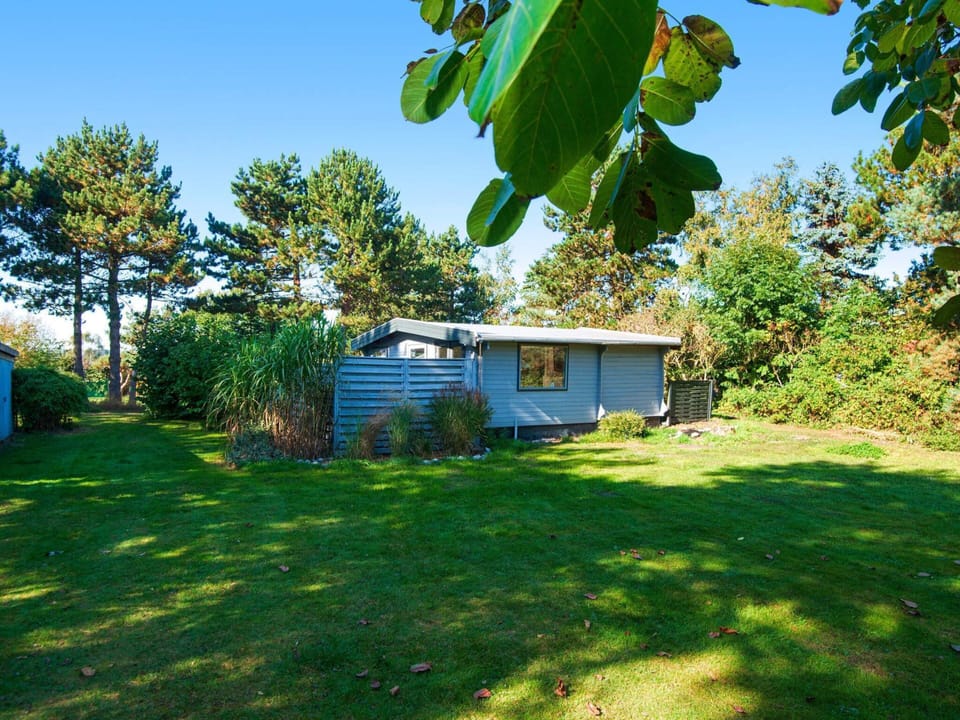 House | View from property