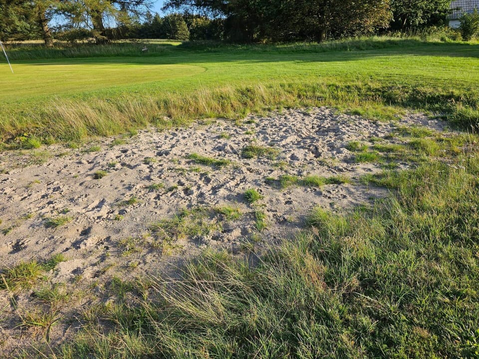 House | Miscellaneous