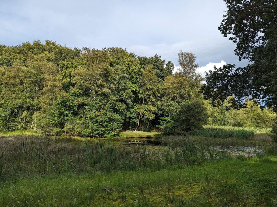 House | Water view