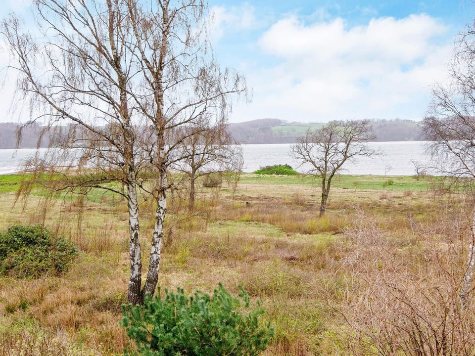 House | View from property