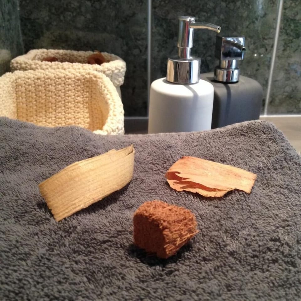 Family Room (Cépages) | Bathroom amenities | Shower, hair dryer, towels, soap