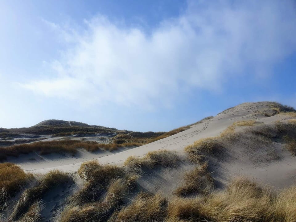 House | Miscellaneous