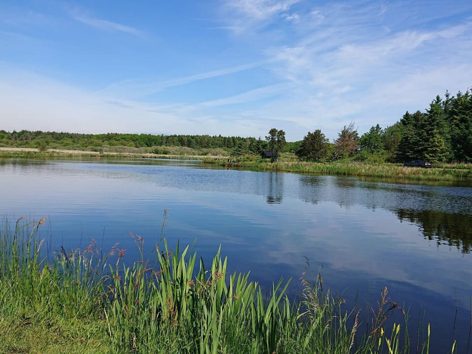 House | Water view