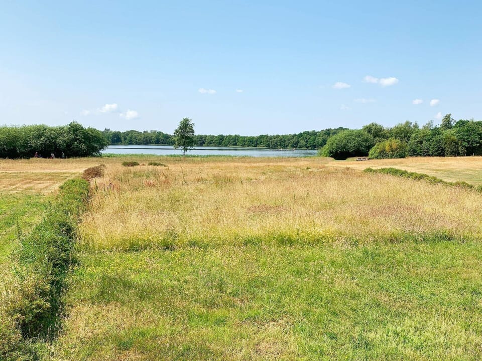 House | View from property