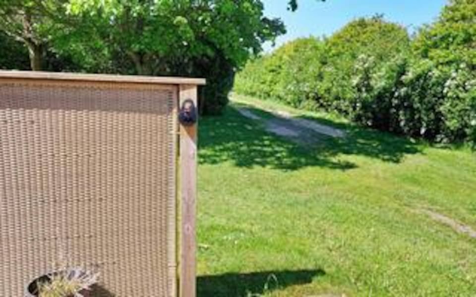 House | Property grounds
