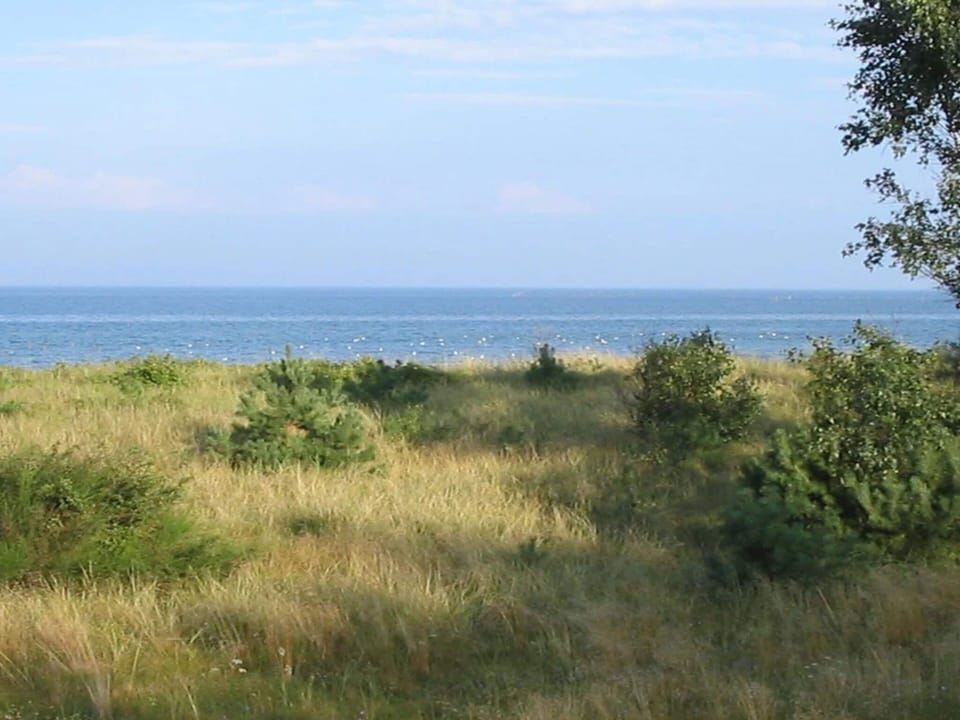 House | Water view
