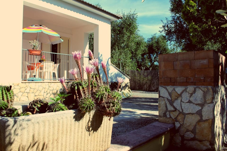 Classic Triple Room | Terrace/patio