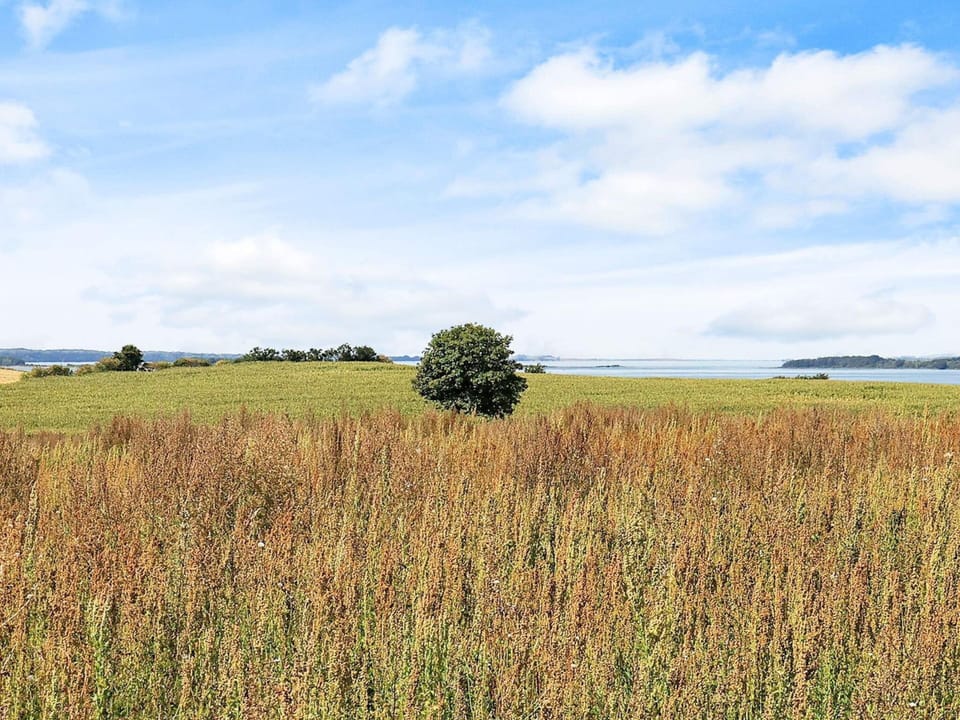 Apartment | Miscellaneous