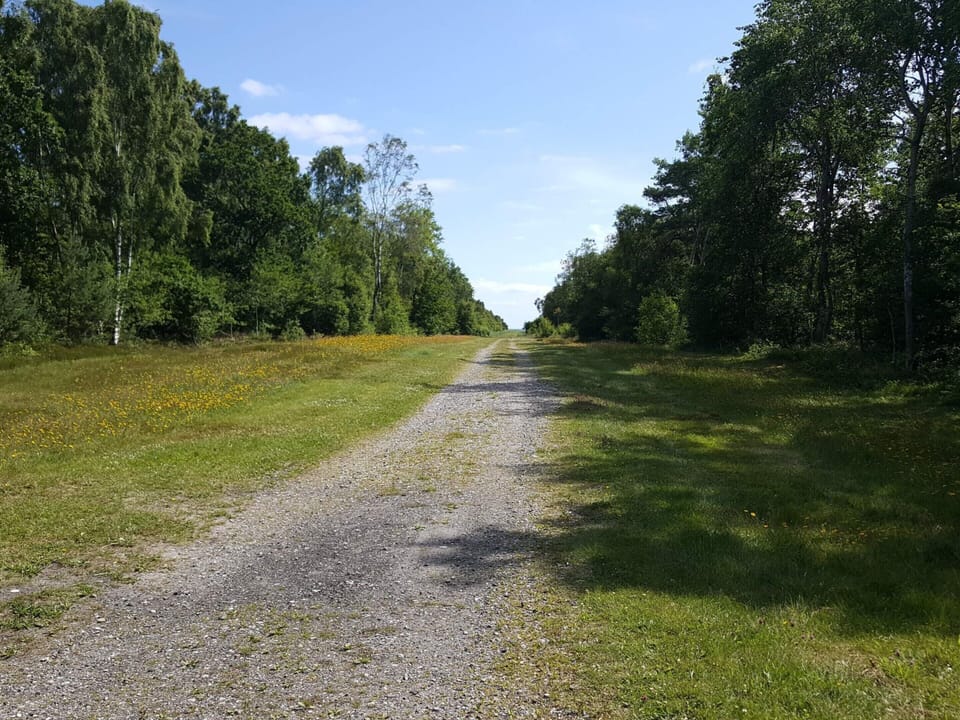 Apartment | Miscellaneous