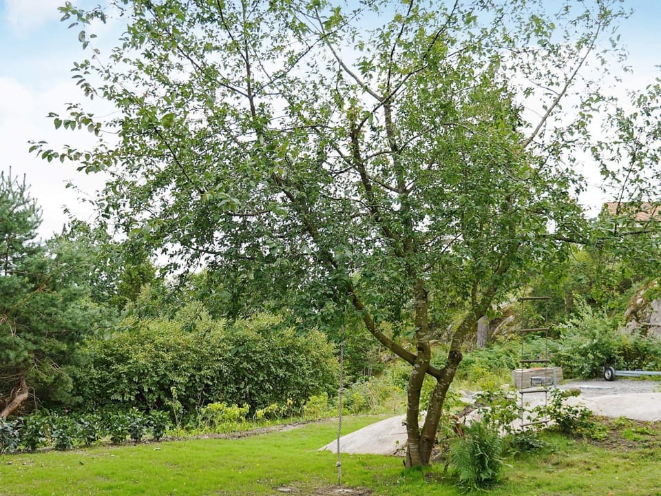 House | View from property