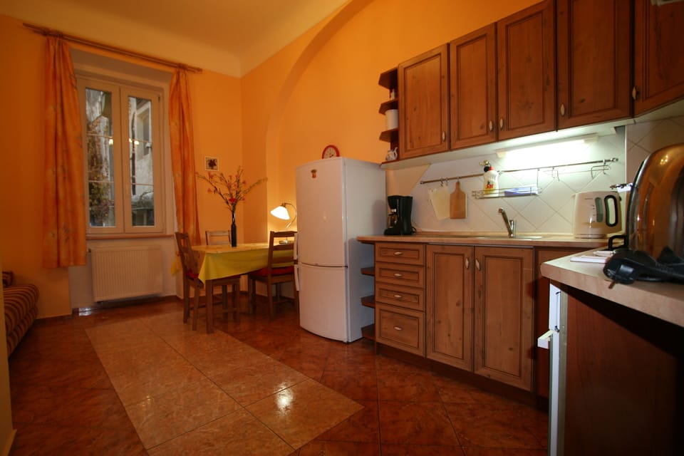 Apartment | Private kitchen | Full-size fridge, microwave, oven, stovetop