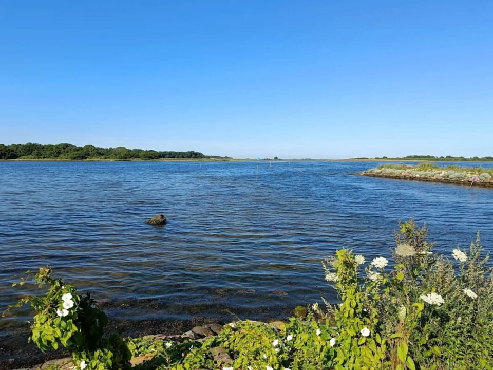 5 Person Holiday Home in Otterup House in Region of Southern Denmark