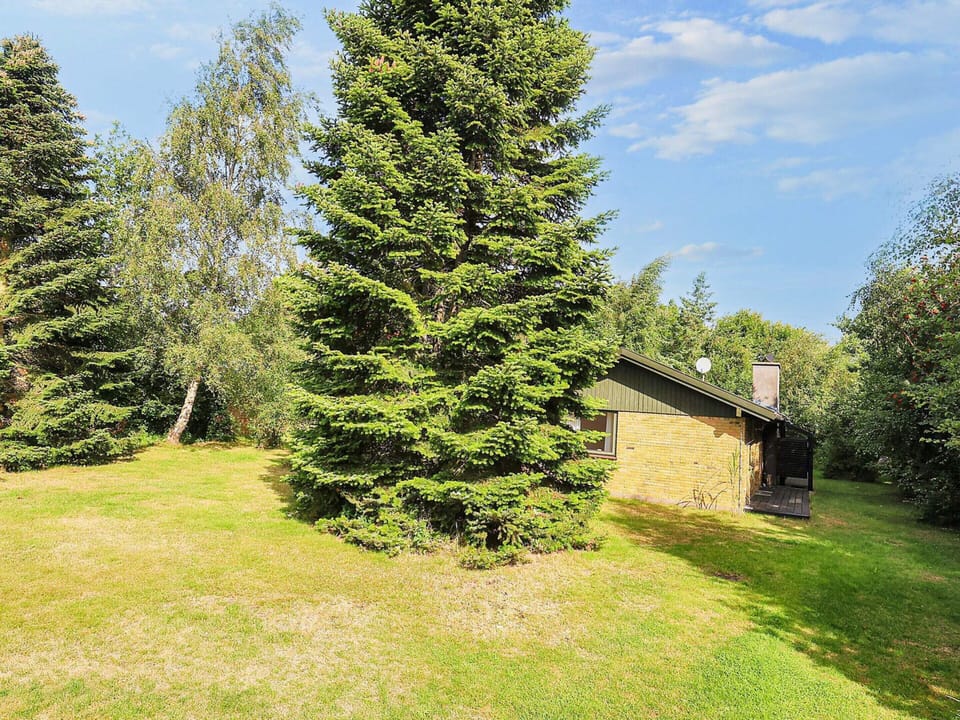 House | View from property