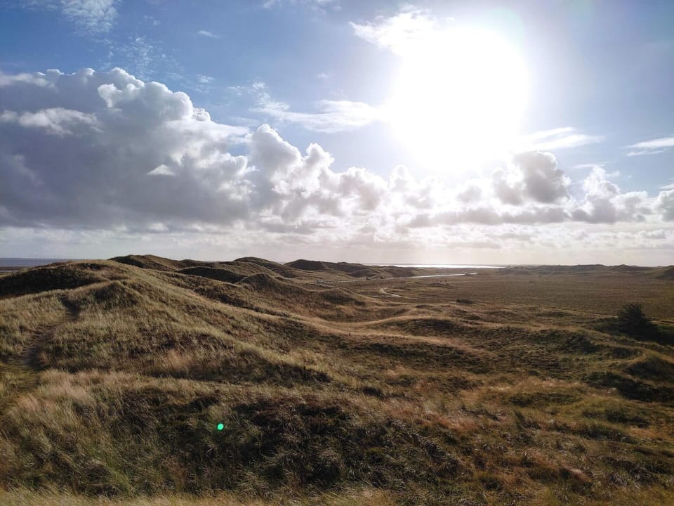 House | Miscellaneous