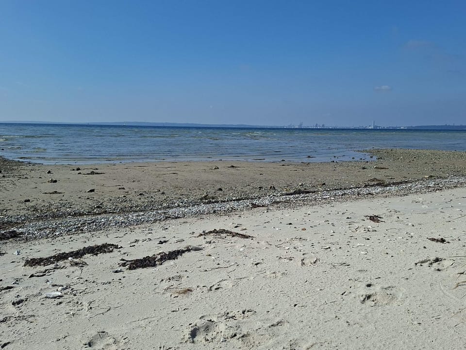 Seaside Serenity at Skadshoved-by Traum House in Central Denmark Region
