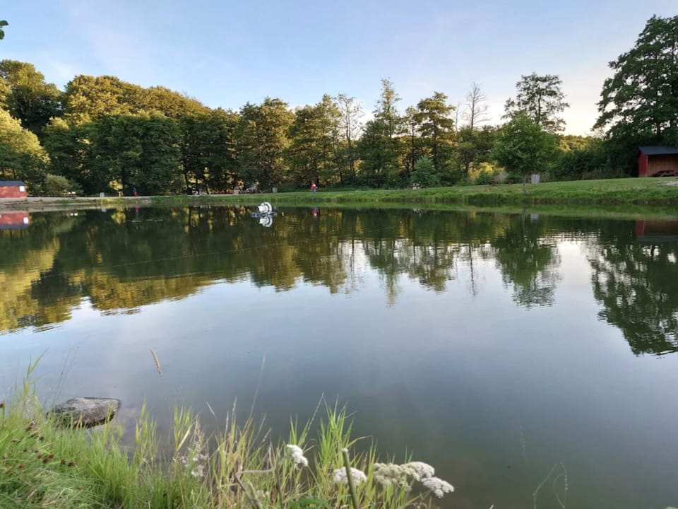 House | Water view