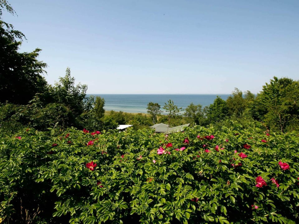 House | View from property