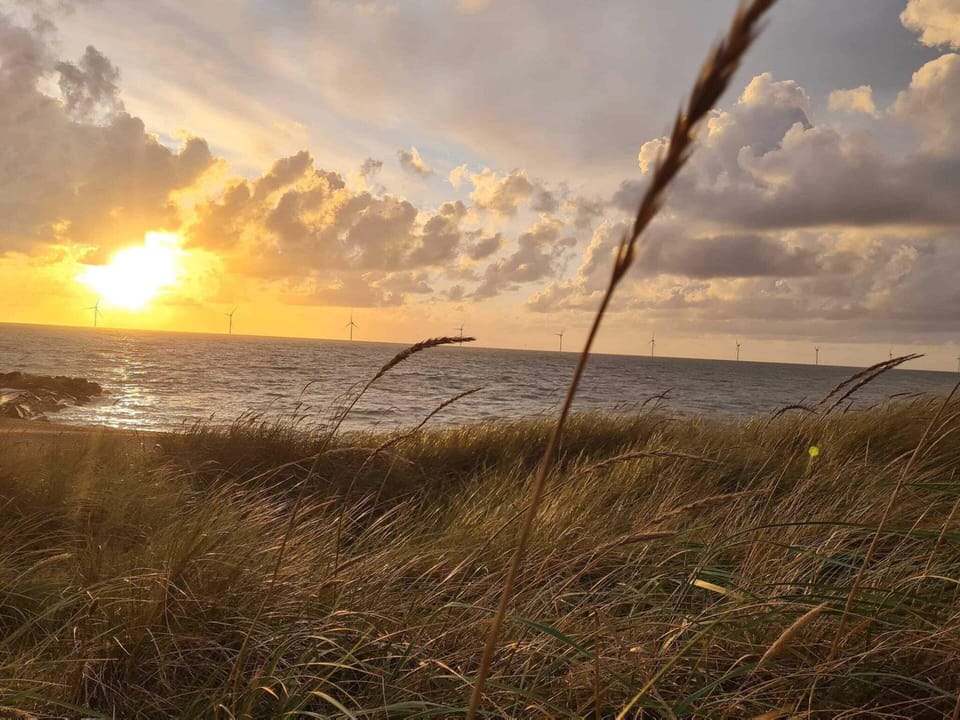 House | Beach