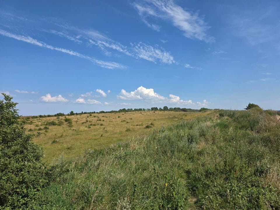 House | Miscellaneous