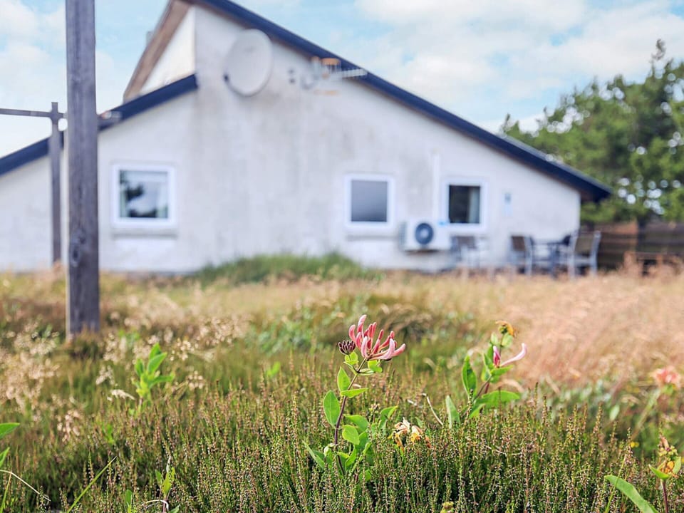 House | Exterior
