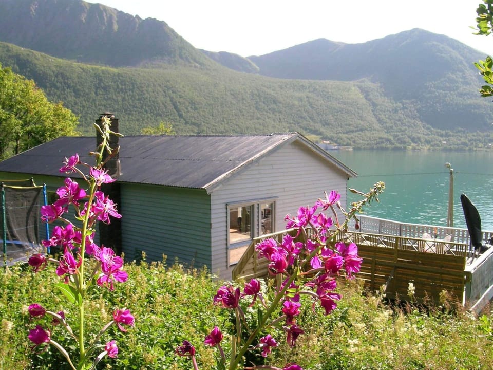 House | View from property