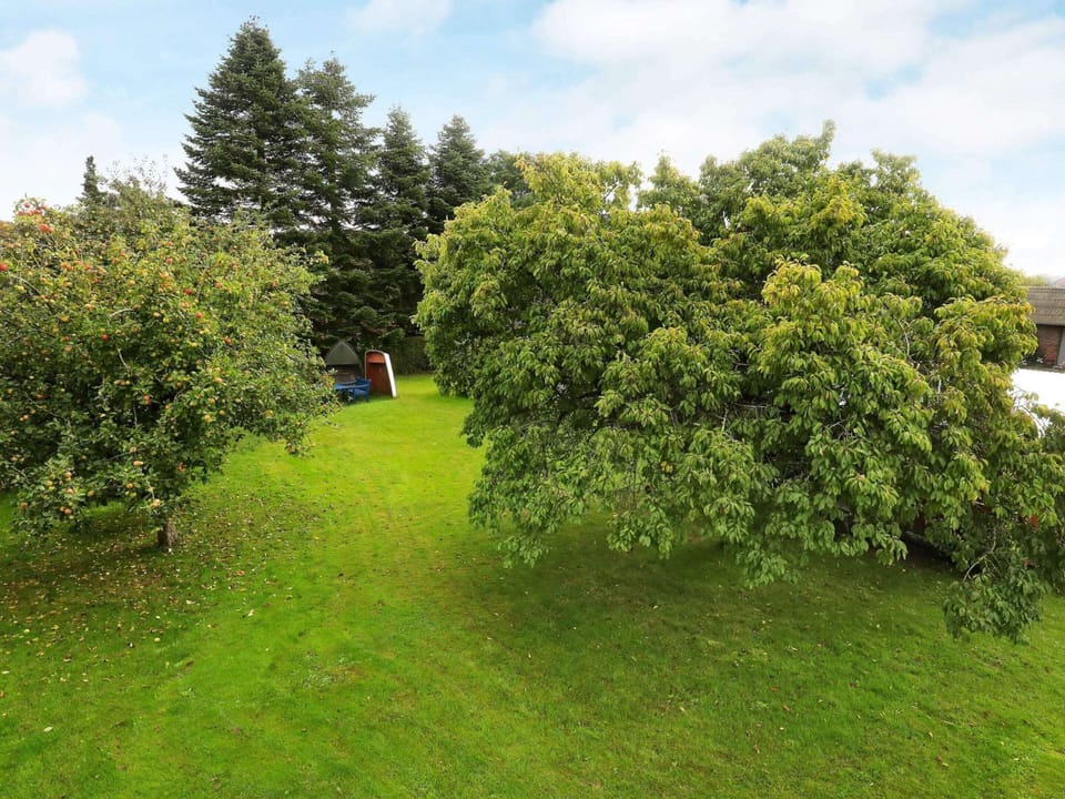 House | View from property