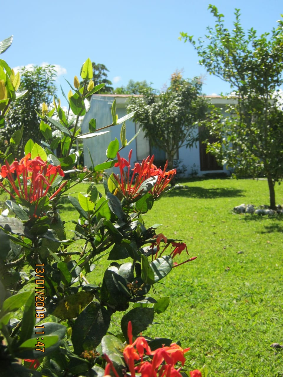Loft, 2 Bedrooms, Smoking, Patio | Garden