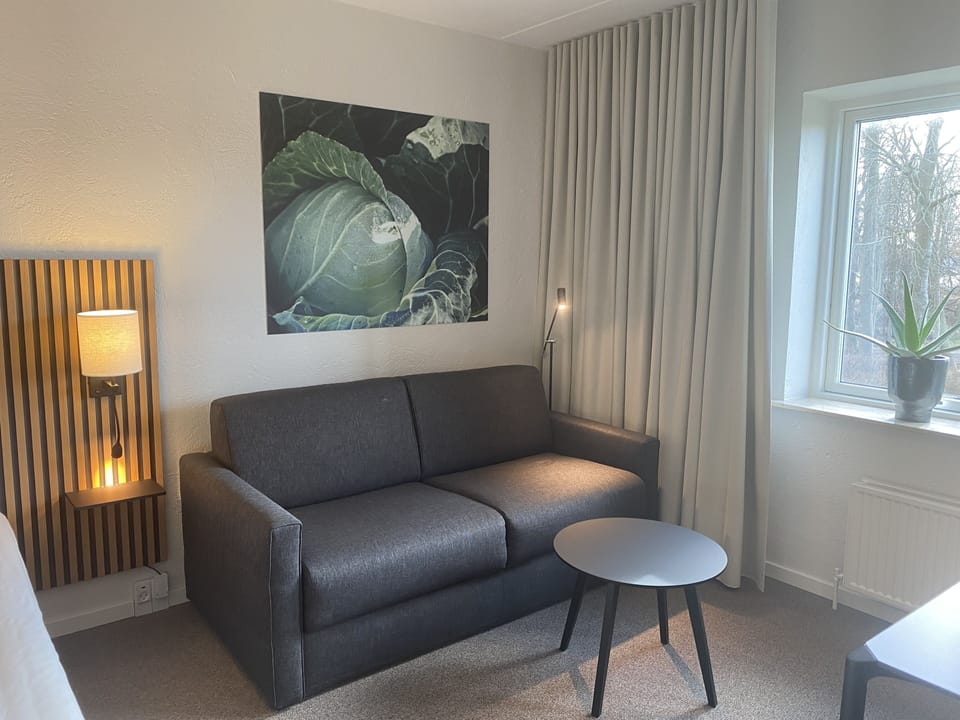 Desk, blackout drapes, iron/ironing board, free WiFi