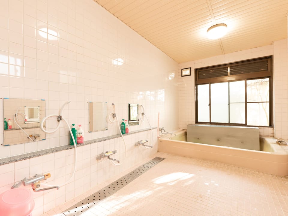Public bath